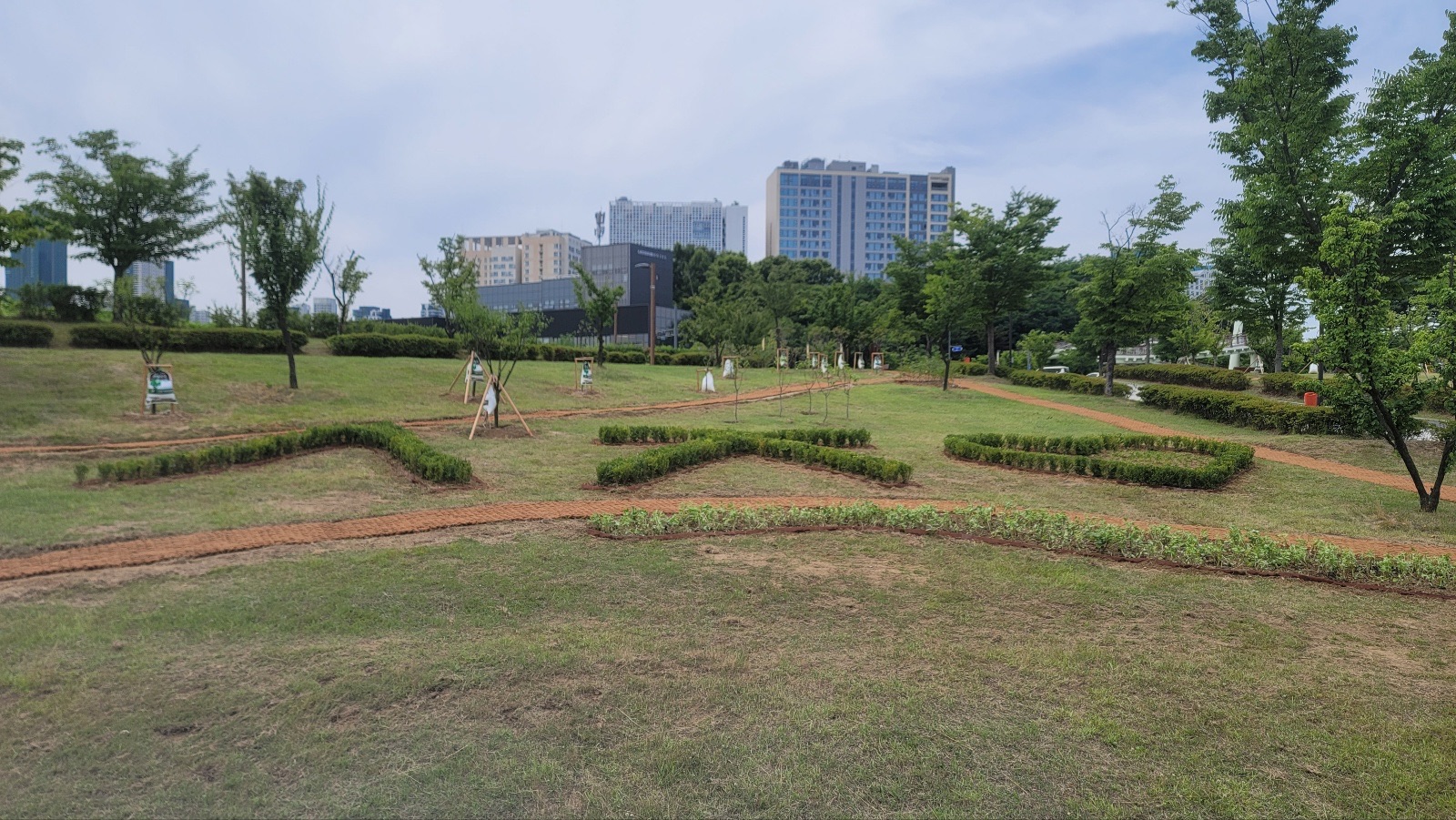 240625_공원관리_호수공원 유실수 특화단지 조성